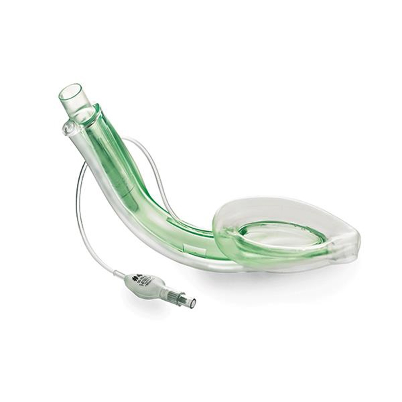 Auragain Anatomical Curve Media1