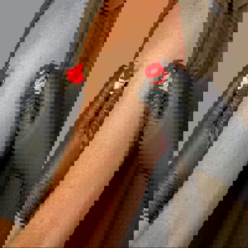 FRNR 30 0009 North American Rescue 'BOA' Constricting Band 3