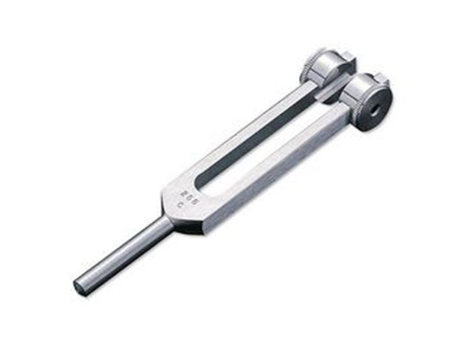 ADC Tuning Fork with Fixed Weight 256cps.jpg