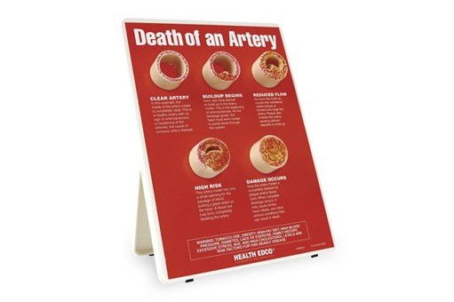 Death of an Artery.jpg
