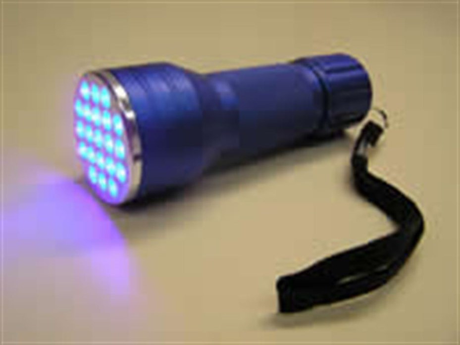Glo Germ UV Torch.jpg