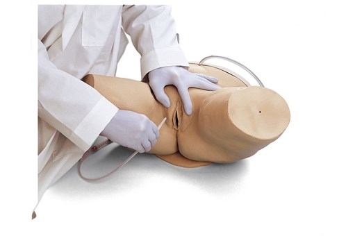 Lifeform® Female Catheterisation Simulator.jpg