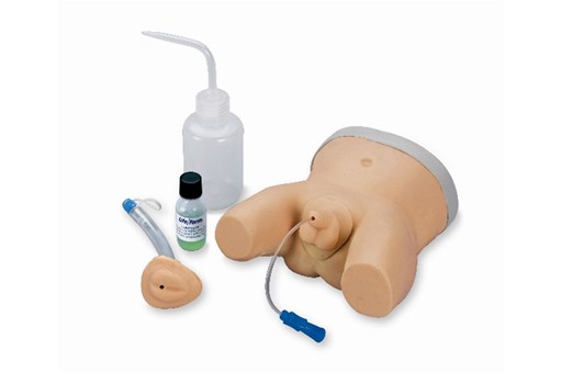 Lifeform® Infant Catheterisation Trainer.jpg