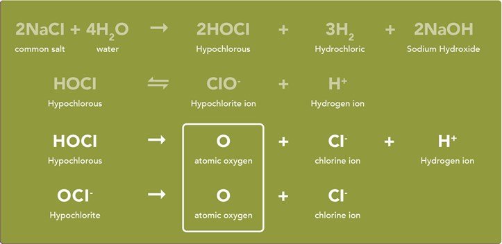 Gallery Image Electrochemical Process Chart